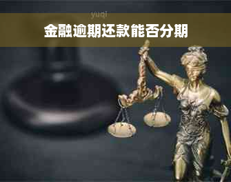 金融逾期还款能否分期