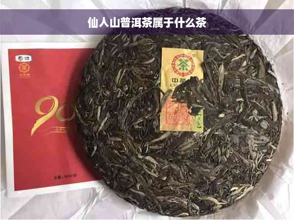 仙人山普洱茶属于什么茶