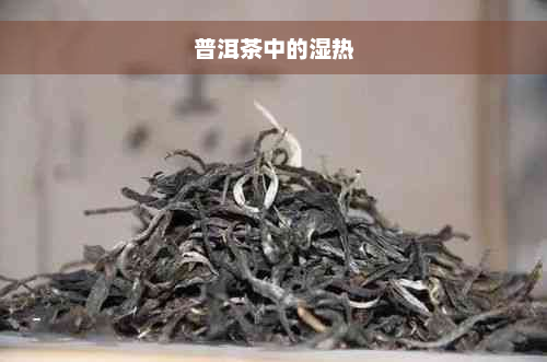 普洱茶中的湿热