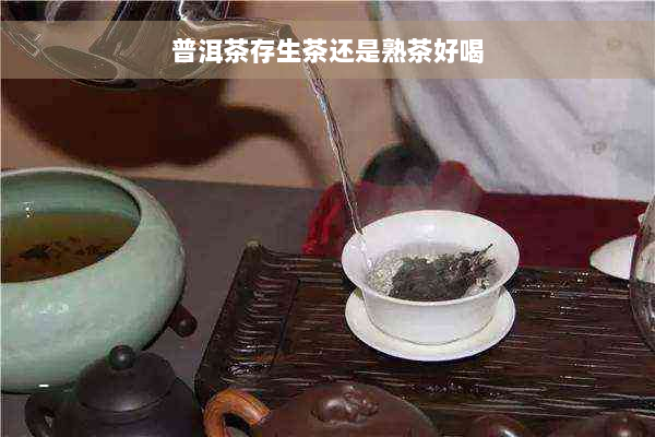 普洱茶存生茶还是熟茶好喝