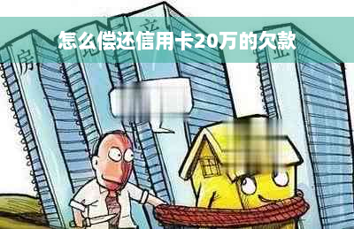 怎么偿还信用卡20万的欠款