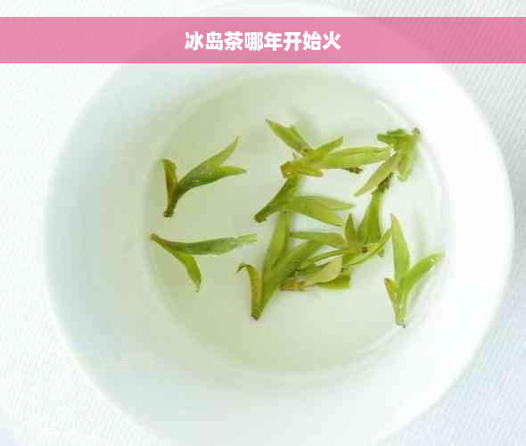 冰岛茶哪年开始火