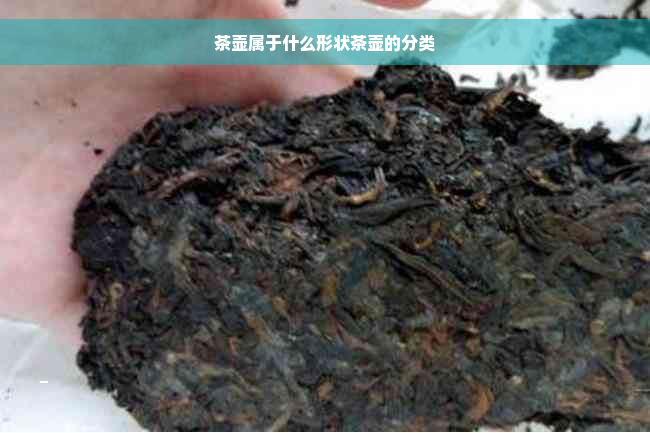 茶壶属于什么形状茶壶的分类