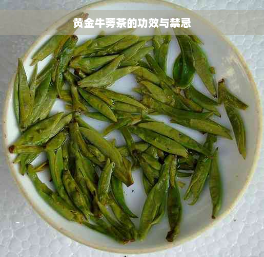 黄金牛蒡茶的功效与禁忌