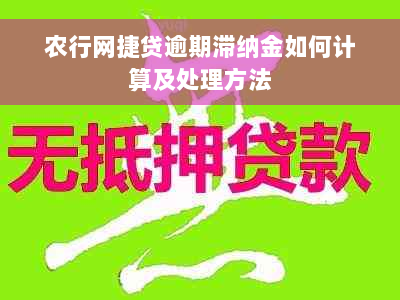 农行网捷贷逾期滞纳金如何计算及处理方法