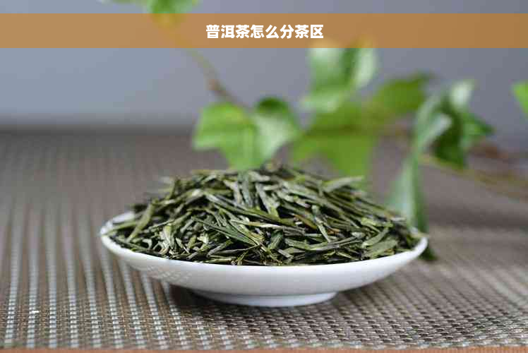 普洱茶怎么分茶区