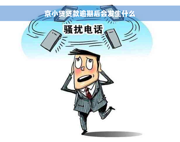 京小贷贷款逾期后会发生什么