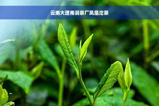 云南大理南涧茶厂凤凰沱茶