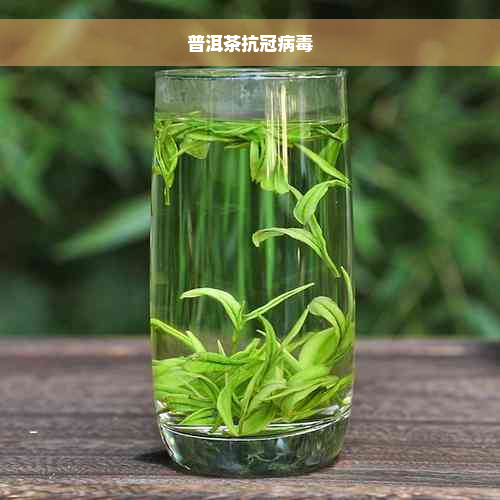 普洱茶抗冠病毒