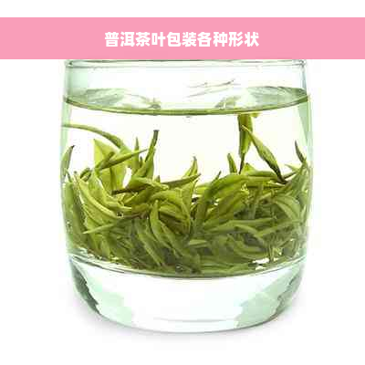 普洱茶叶包装各种形状