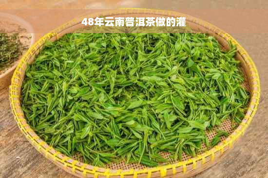 48年云南普洱茶做的灌