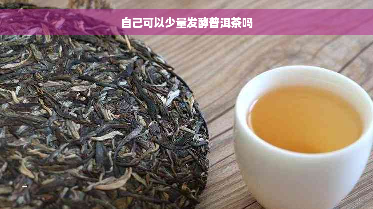 自己可以少量发酵普洱茶吗