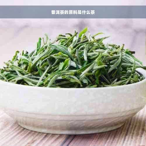 普洱茶的原料是什么茶