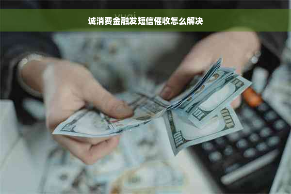 诚消费金融发短信催收怎么解决