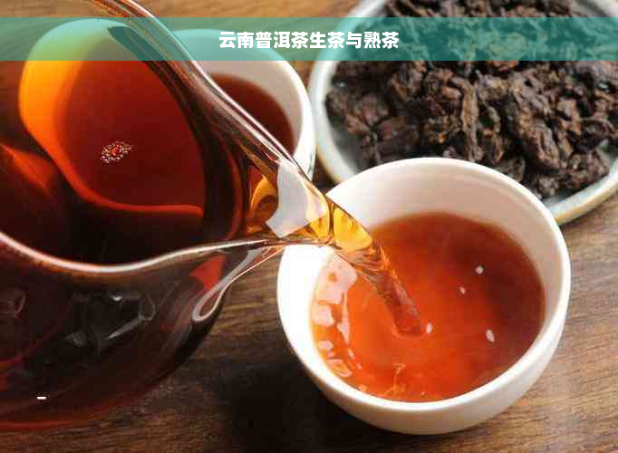 云南普洱茶生茶与熟茶