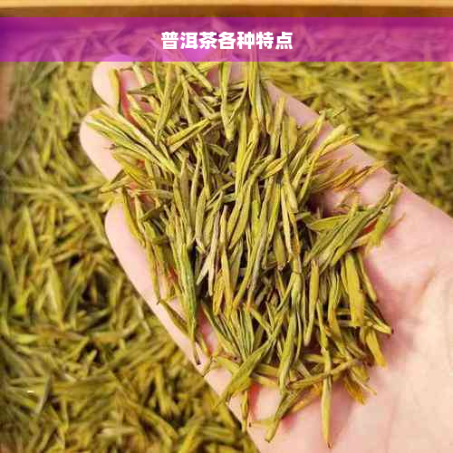 普洱茶各种特点