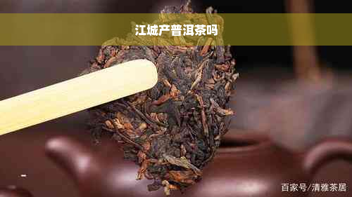 江城产普洱茶吗