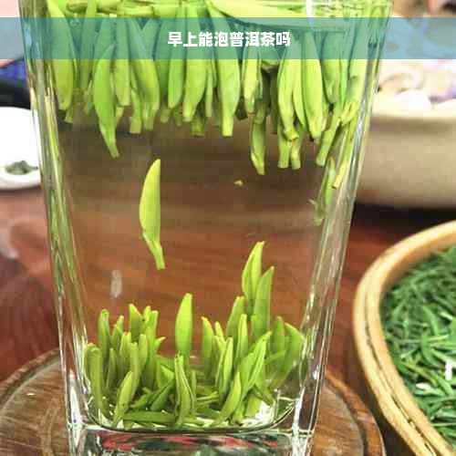 早上能泡普洱茶吗