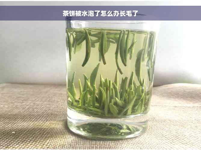 茶饼被水泡了怎么办长毛了