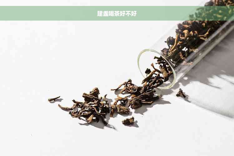 建盏喝茶好不好