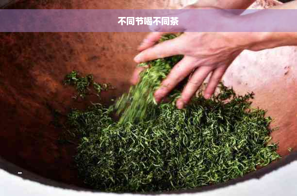 不同节喝不同茶