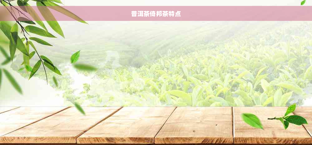 普洱茶倚邦茶特点