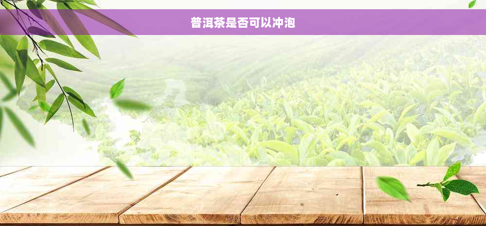 普洱茶是否可以冲泡