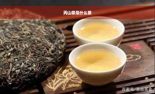 丙山茶是什么茶