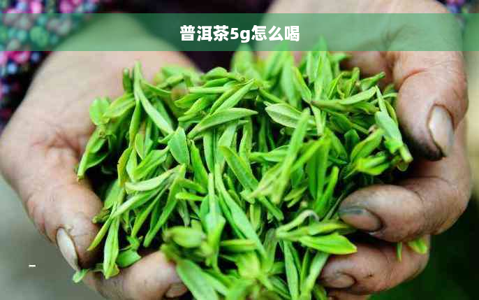 普洱茶5g怎么喝