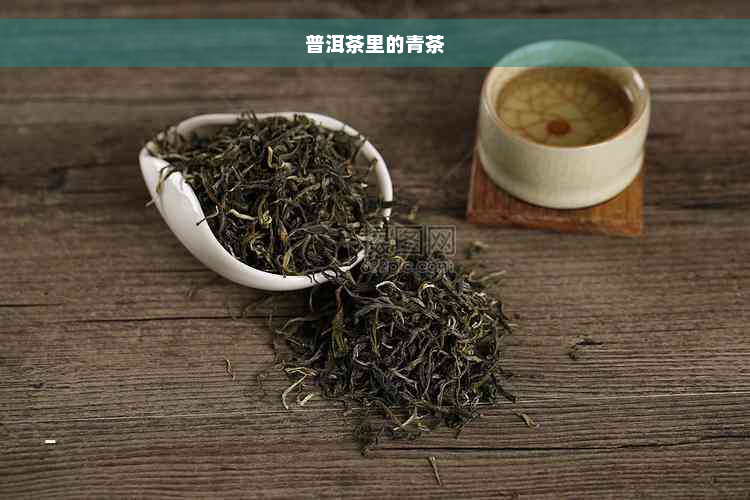 普洱茶里的青茶