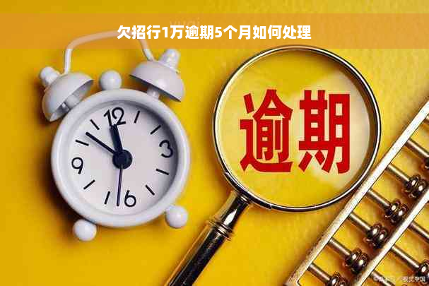 欠招行1万逾期5个月如何处理