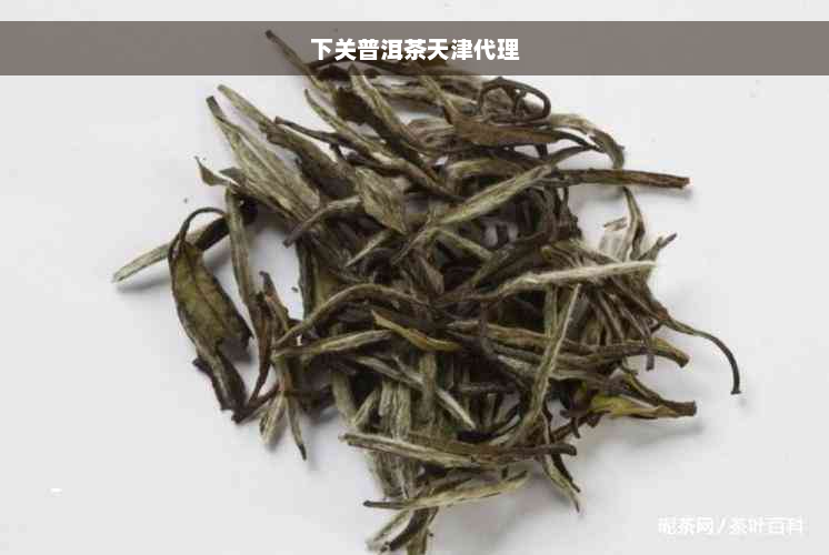 下关普洱茶天津代理