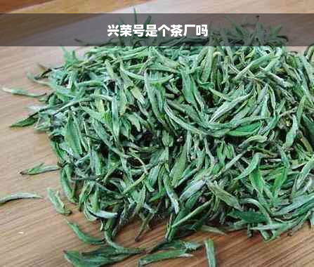 兴荣号是个茶厂吗