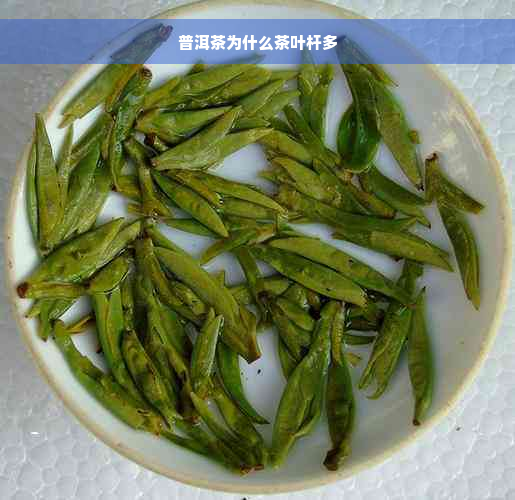 普洱茶为什么茶叶杆多