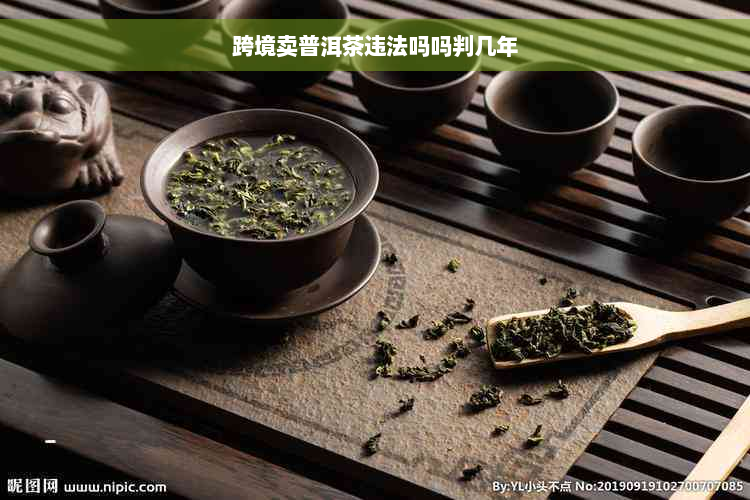 跨境卖普洱茶违法吗吗判几年