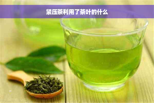 紧压茶利用了茶叶的什么