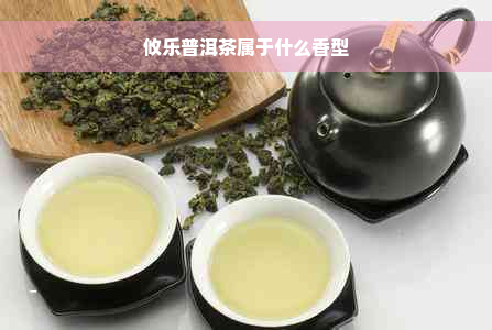 攸乐普洱茶属于什么香型