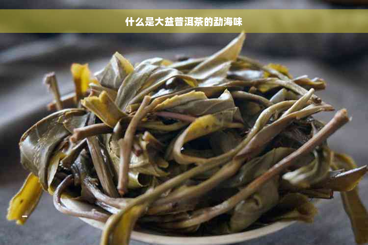 什么是大益普洱茶的勐海味