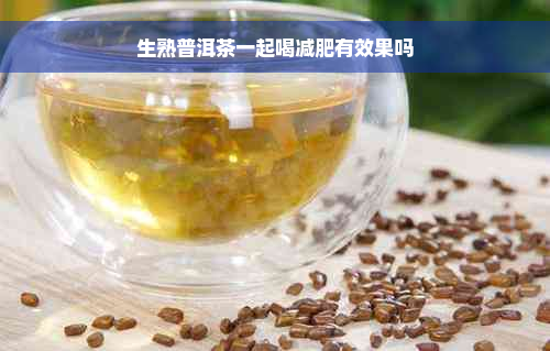 生熟普洱茶一起喝减肥有效果吗