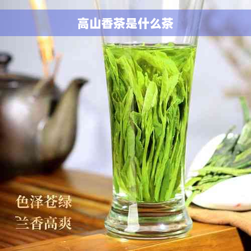 高山香茶是什么茶