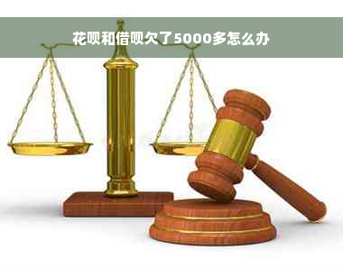 花呗和借呗欠了5000多怎么办