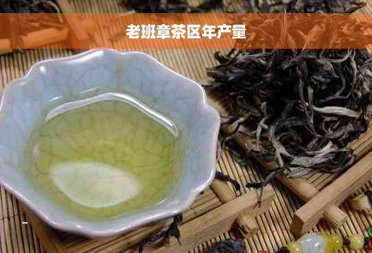 老班章茶区年产量