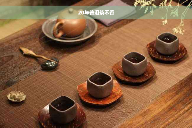 20年普洱茶不香