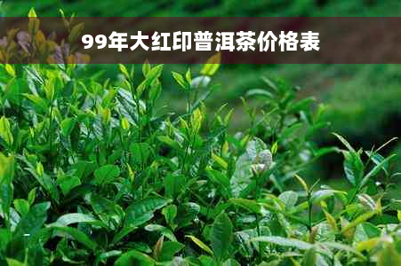 99年大红印普洱茶价格表