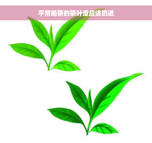 平常喝茶的茶叶渣应该扔进