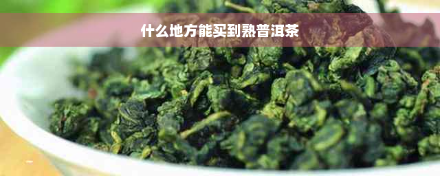 什么地方能买到熟普洱茶