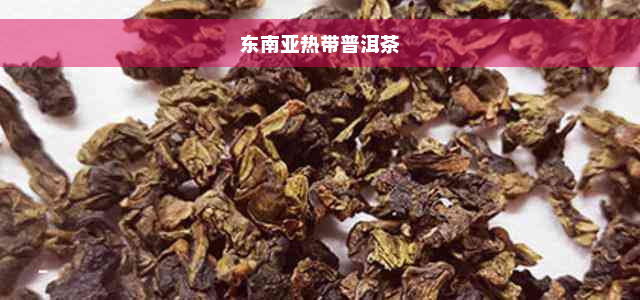 东南亚热带普洱茶