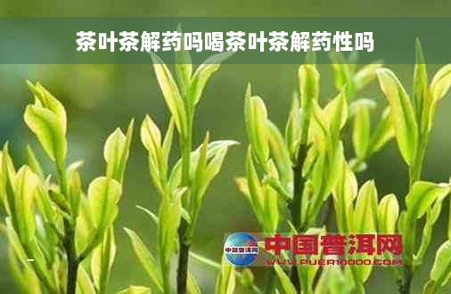 茶叶茶解药吗喝茶叶茶解药性吗