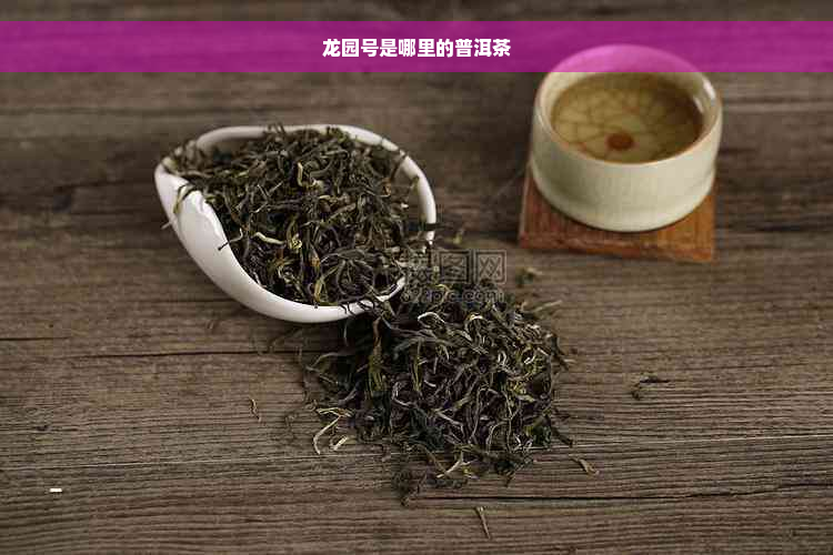 龙园号是哪里的普洱茶