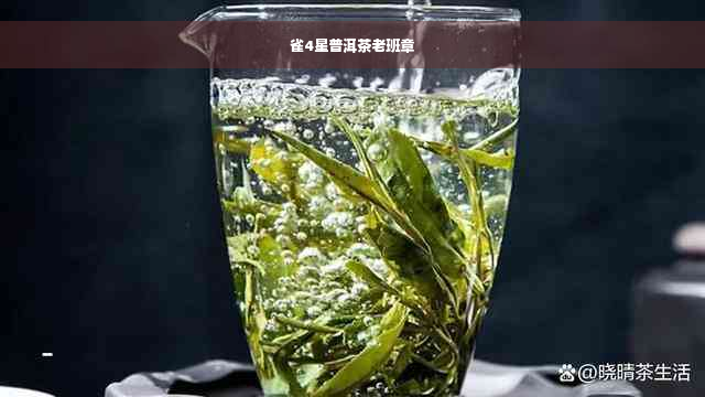 雀4星普洱茶老班章